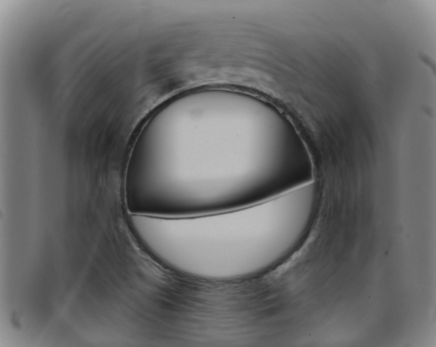X0000097871505200803140907