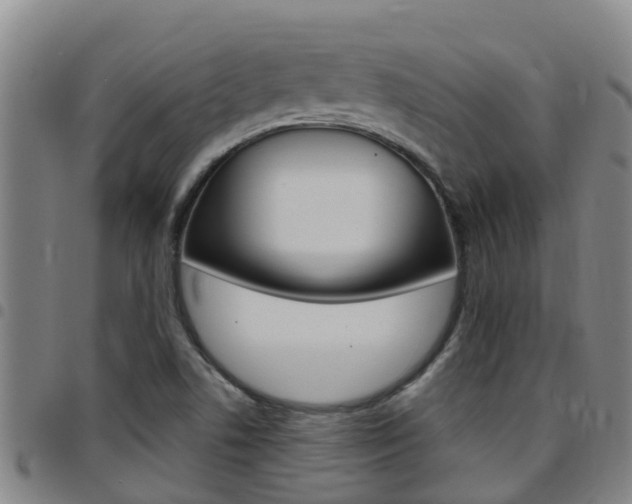 X0000097871506200803140907