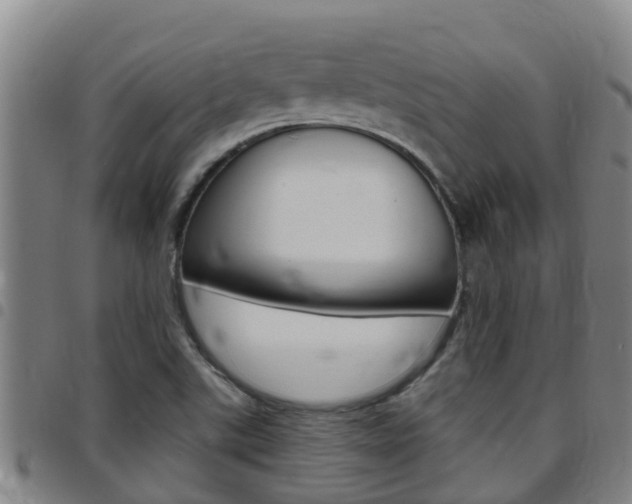 X0000097871507200803140907