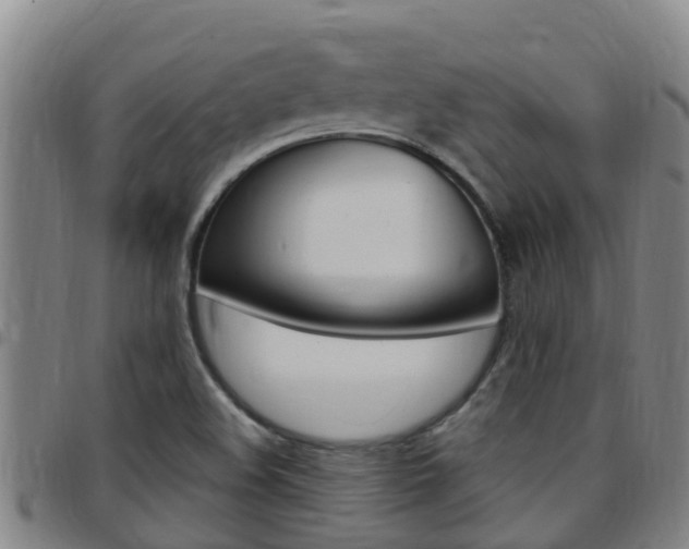 X0000097871508200803140907