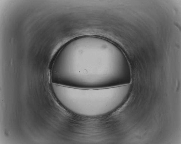 X0000097871509200803140907