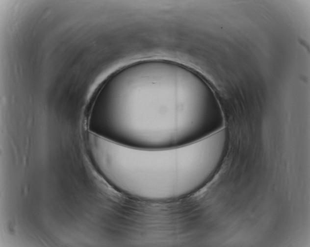 X0000097871510200803140907