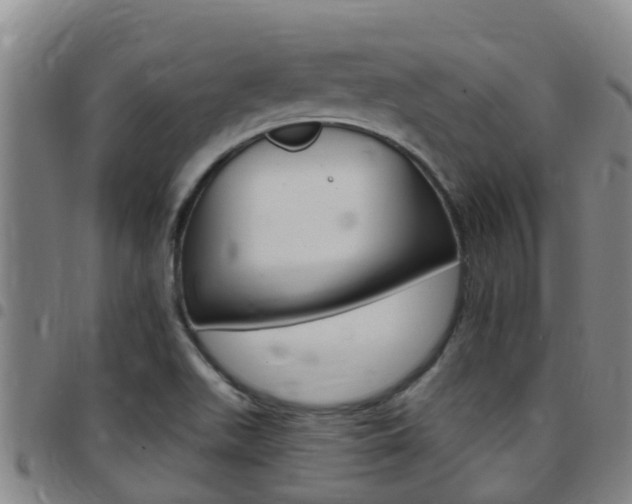 X0000097871511200803140907