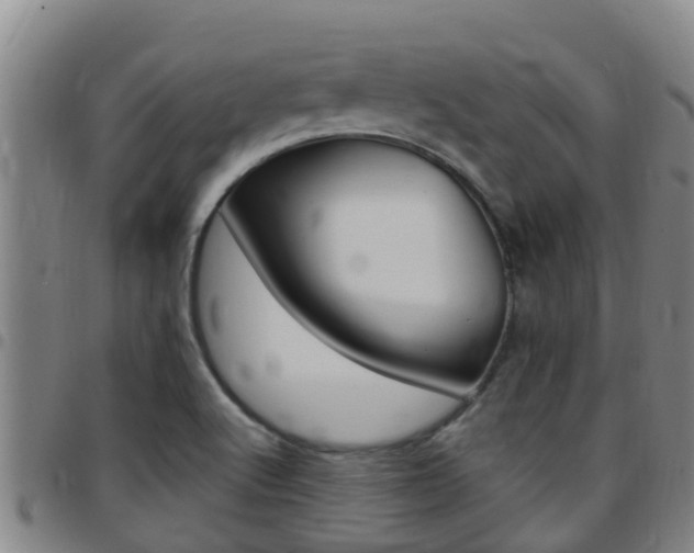 X0000097871512200803140907