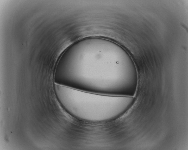 X0000097871513200803140907
