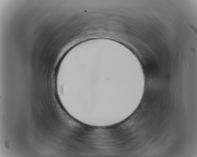 X0000097871514200803140907