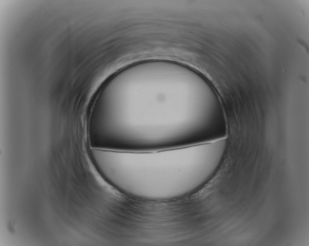 X0000097871515200803140907