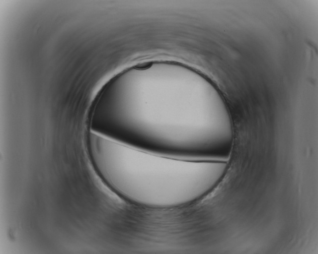 X0000097871518200803140907