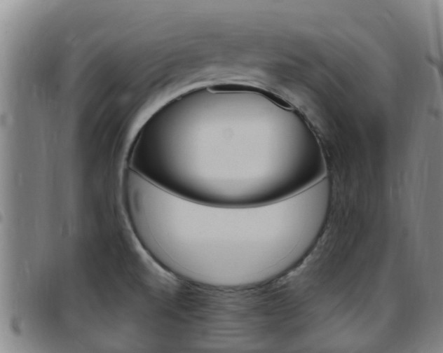X0000097871520200803140907