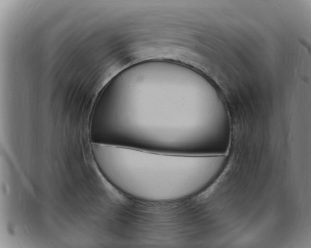 X0000097871521200803140907