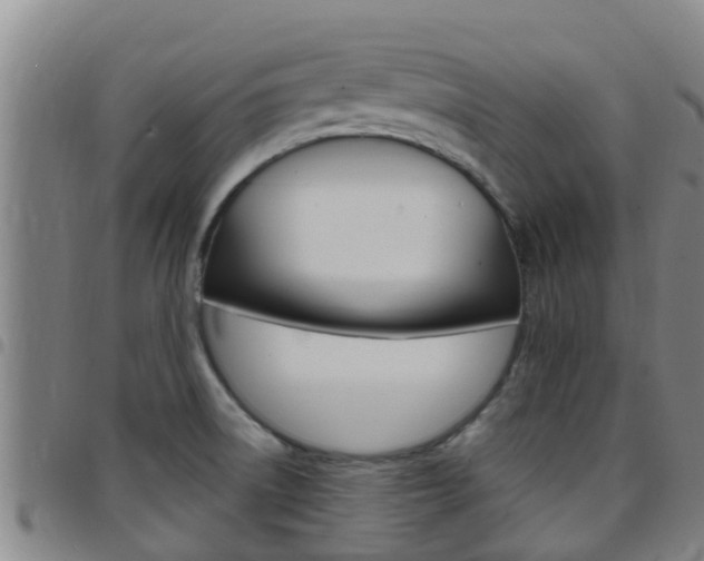 X0000097871522200803140907