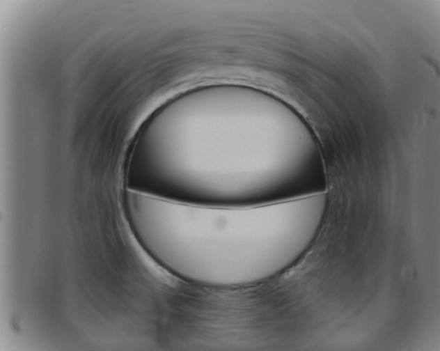X0000097871523200803140907