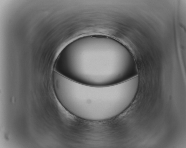 X0000097871524200803140907