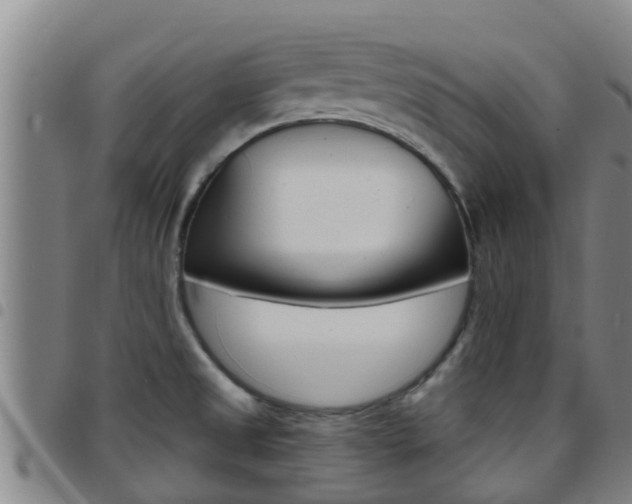X0000097871525200803140907