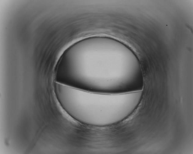 X0000097871526200803140907