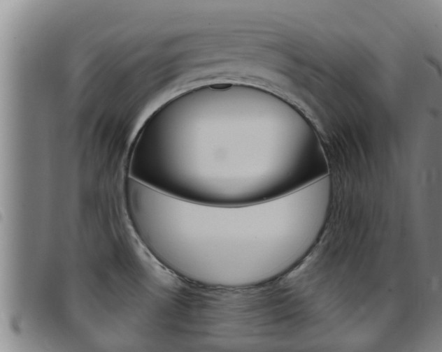 X0000097871530200803140907