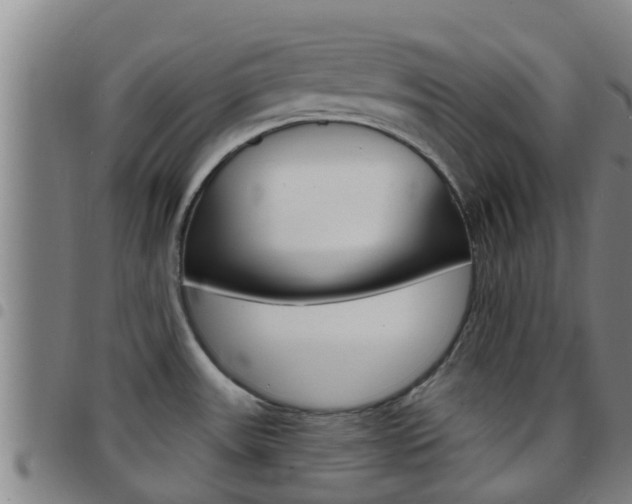 X0000097871531200803140907