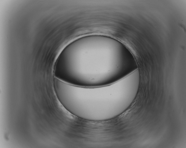 X0000097871532200803140907