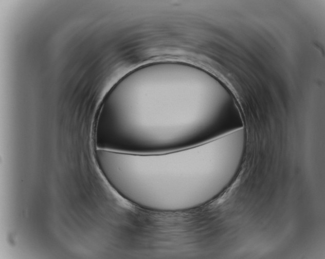 X0000097871533200803140907