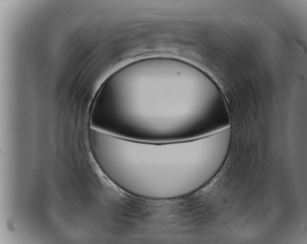 X0000097871534200803140907