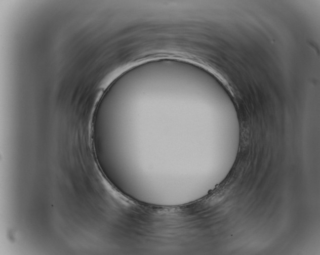 X0000097871535200803140907