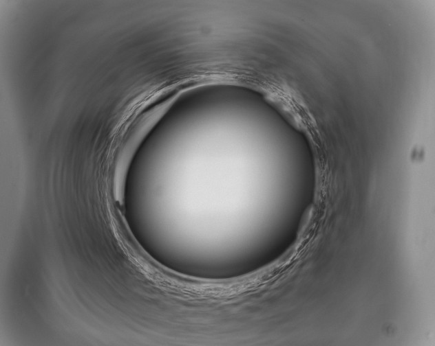 X0000097870001200803141308