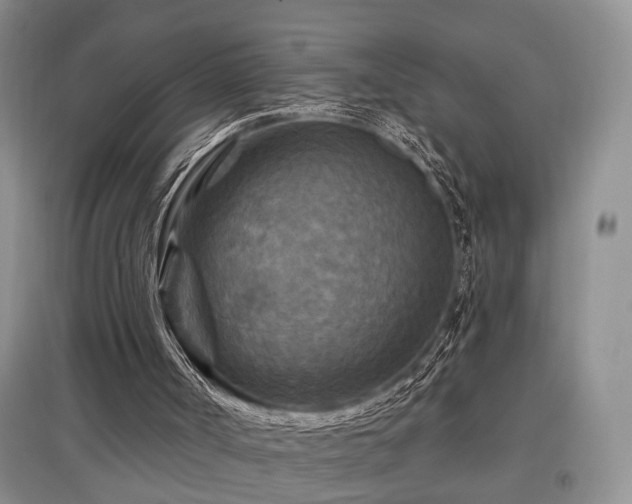 X0000097870002200803141308