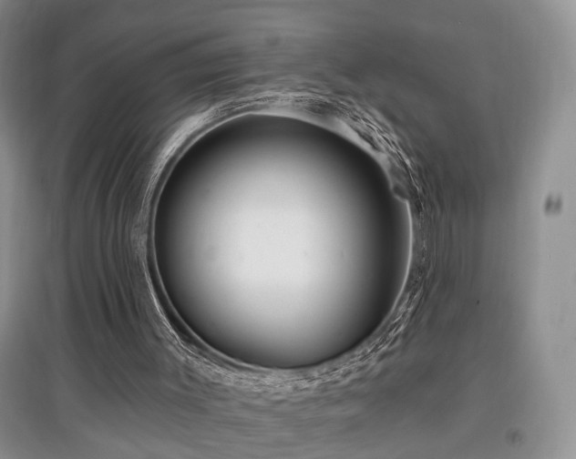 X0000097870003200803141308