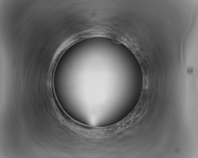 X0000097870004200803141308