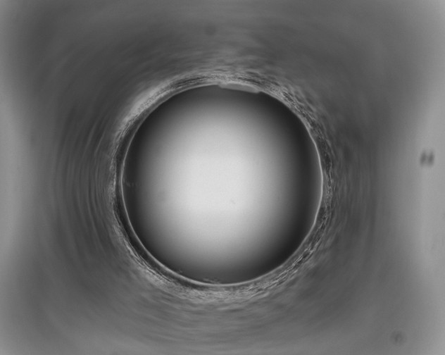 X0000097870005200803141308