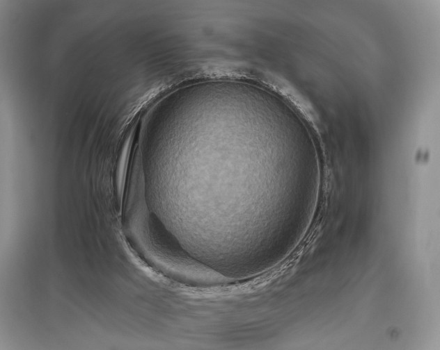 X0000097870009200803141308