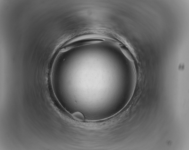 X0000097870010200803141308