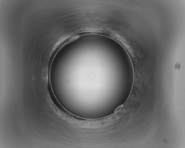 X0000097870011200803141308