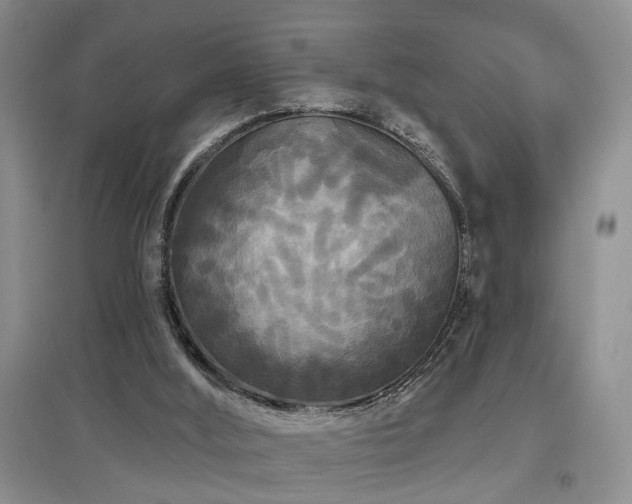 X0000097870012200803141308