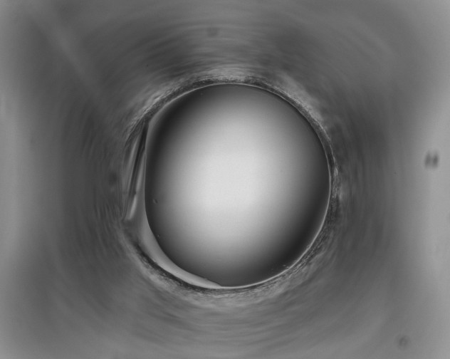 X0000097870013200803141308