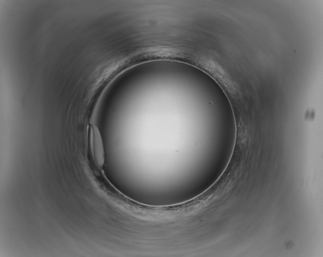 X0000097870014200803141308