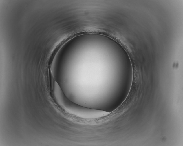 X0000097870015200803141308