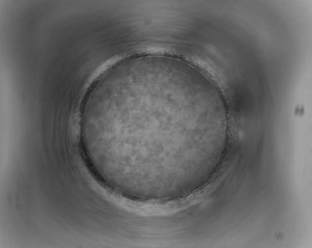 X0000097870016200803141308