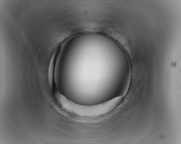 X0000097870017200803141308