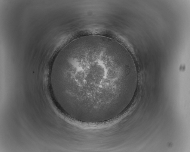 X0000097870018200803141308