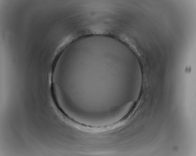 X0000097870019200803141308