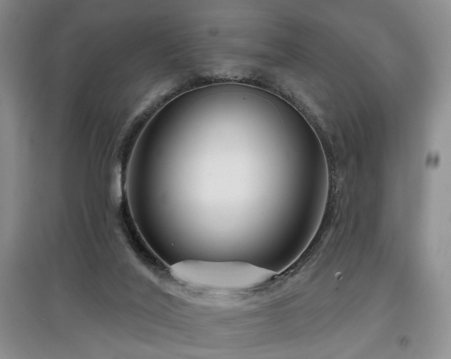X0000097870020200803141308