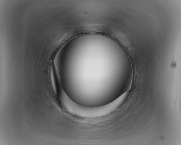 X0000097870021200803141308