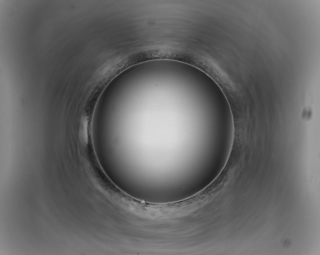 X0000097870022200803141308