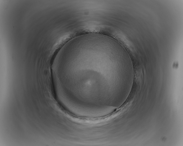 X0000097870023200803141308