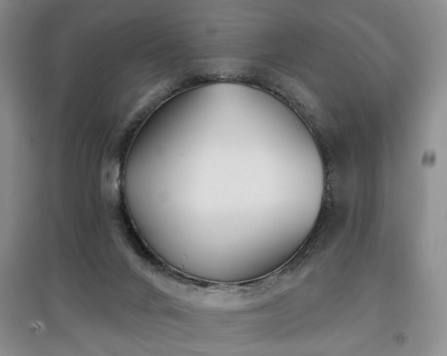 X0000097870024200803141308