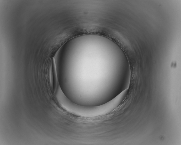 X0000097870025200803141308