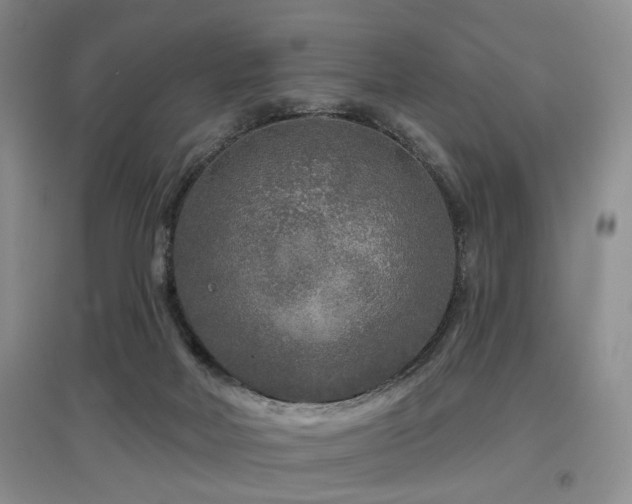 X0000097870026200803141308