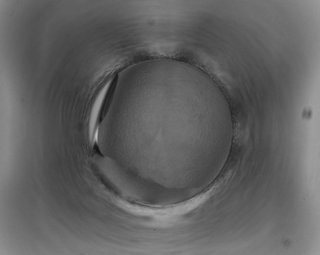X0000097870027200803141308