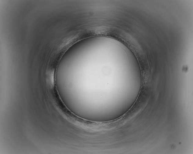 X0000097870028200803141308